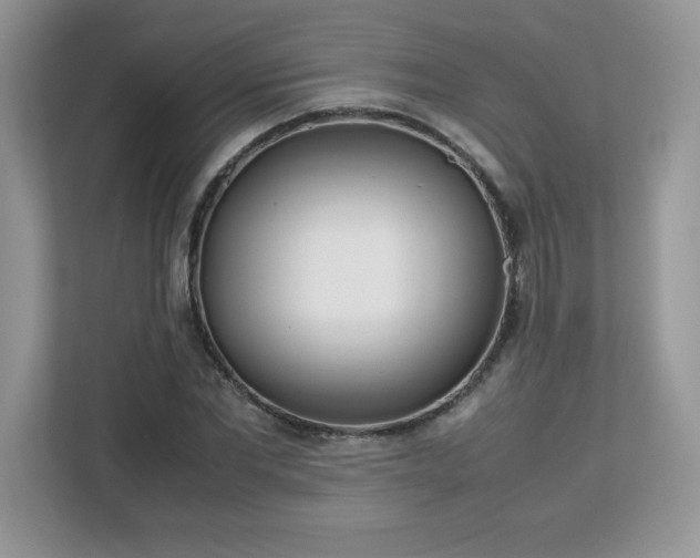 X0000113110877200908281406