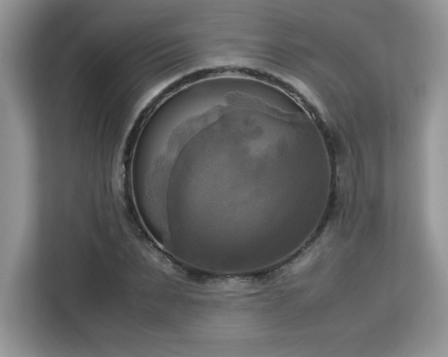 X0000113110879200908281406