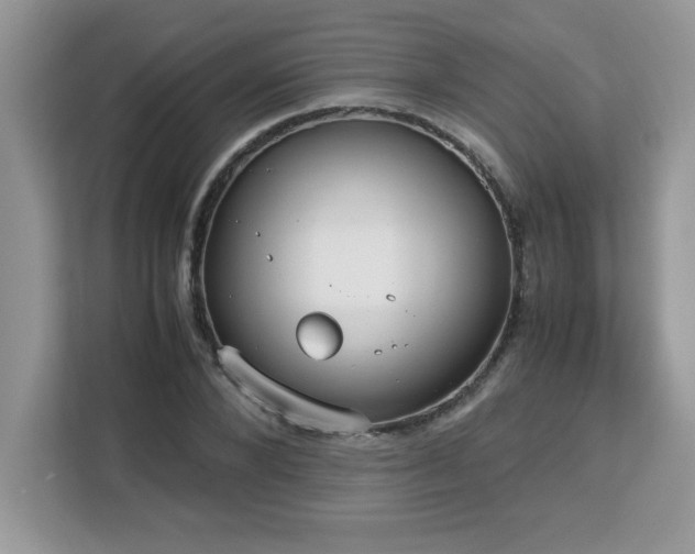 X0000113110880200908281406