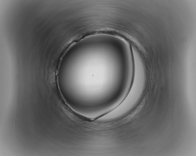 X0000113110881200908281406