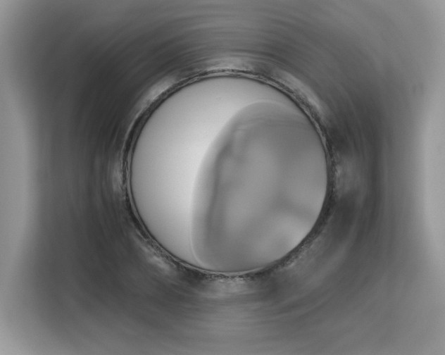 X0000113110882200908281406