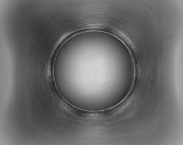 X0000113110883200908281406