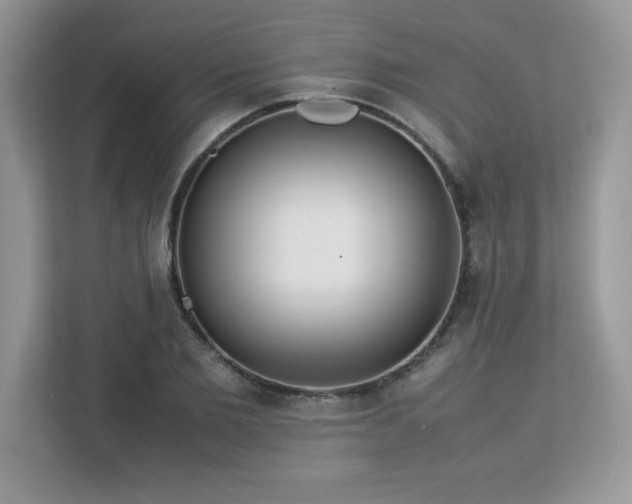 X0000113110885200908281406