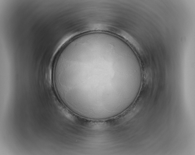 X0000113110886200908281406