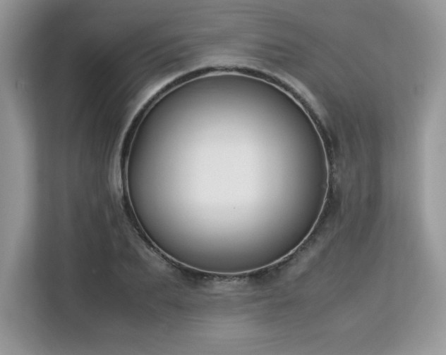 X0000113110887200908281406