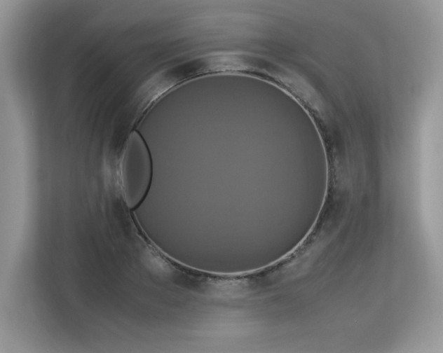 X0000113110889200908281406