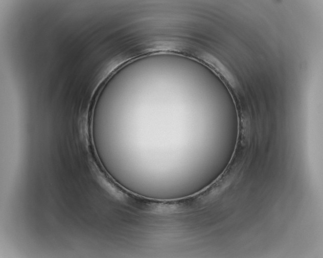 X0000113110890200908281406