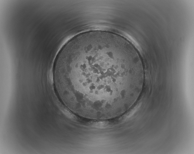 X0000113110891200908281406