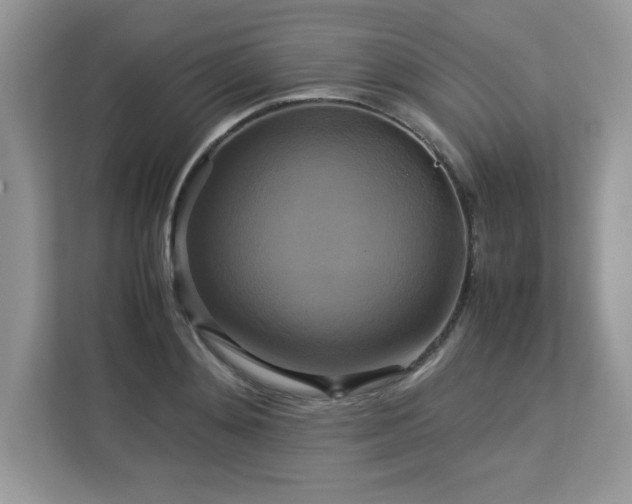 X0000113110892200908281406