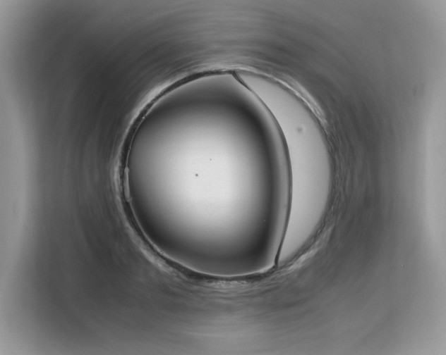X0000113110893200908281406