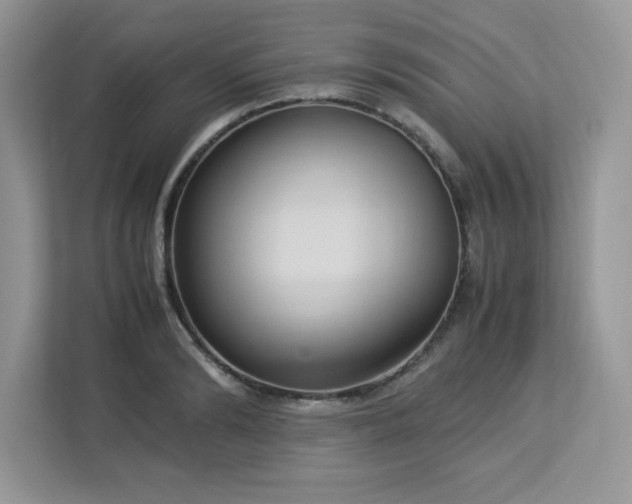 X0000113110894200908281406