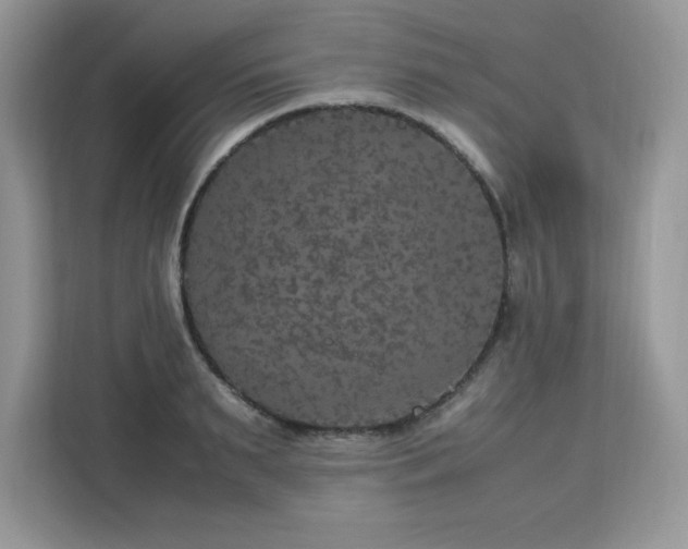 X0000113110895200908281406