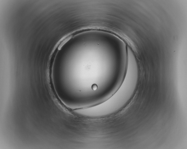 X0000113110896200908281406