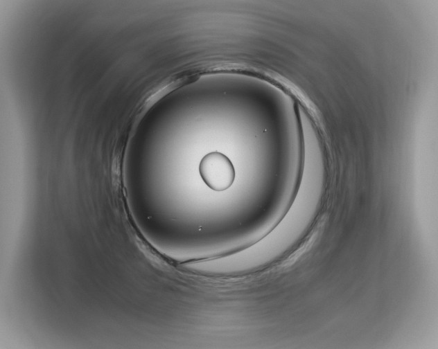 X0000113110897200908281406