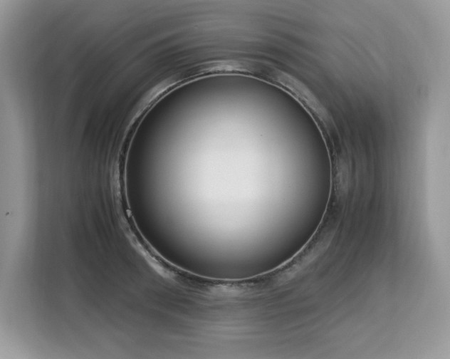 X0000113110898200908281406