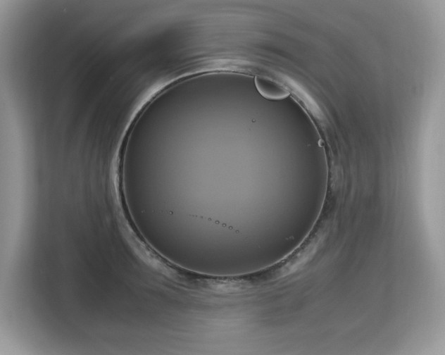 X0000113110899200908281406