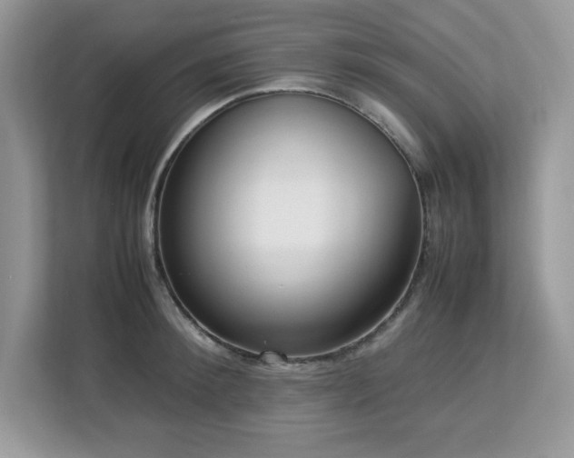 X0000113110900200908281406
