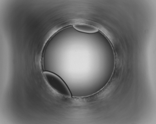 X0000113110901200908281406