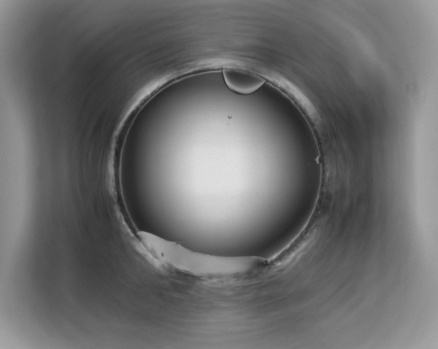 X0000113110902200908281406