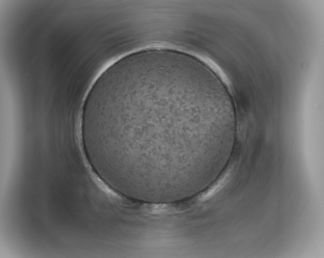 X0000113110903200908281406