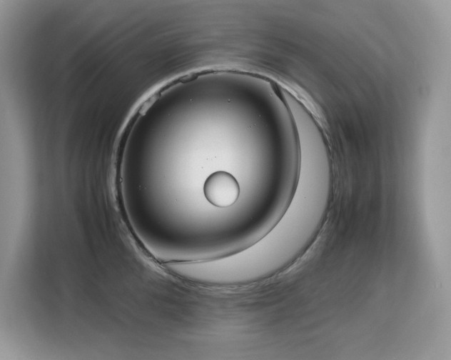 X0000113110904200908281406