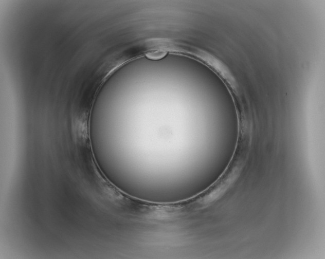 X0000113110905200908281406
