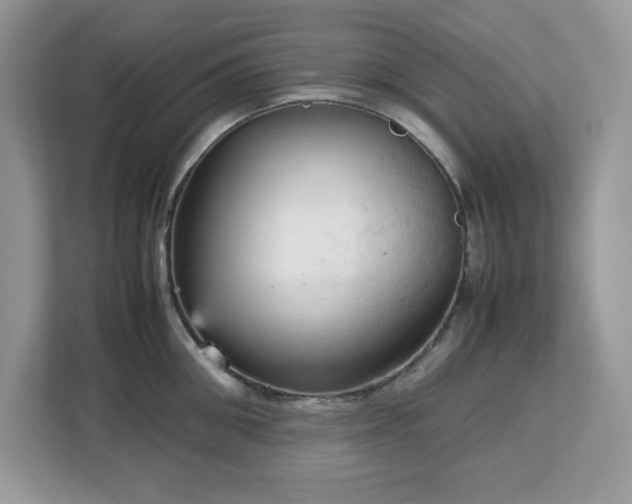 X0000113110906200908281406