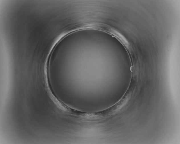 X0000113110907200908281406