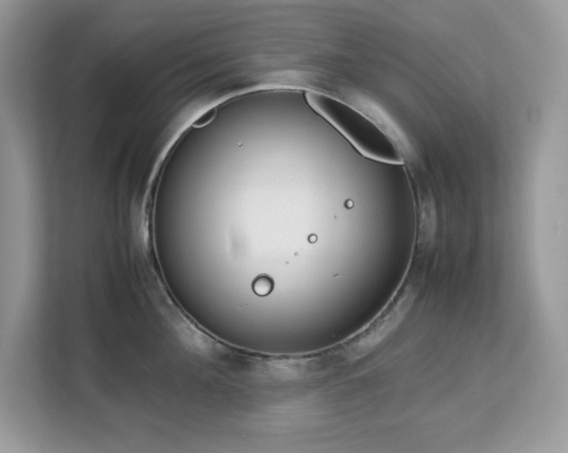 X0000113110908200908281406