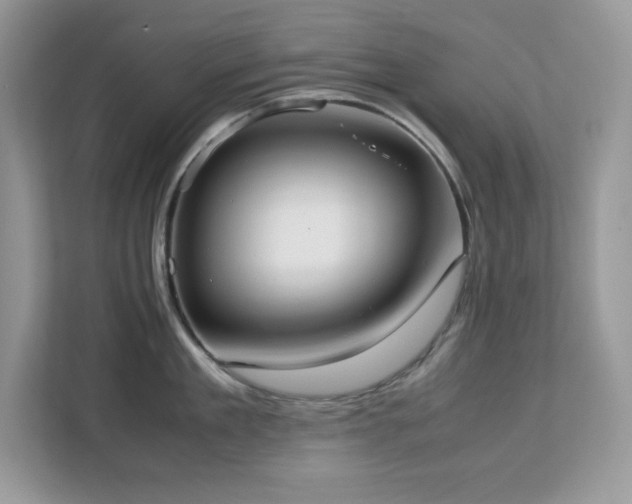 X0000113110909200908281406