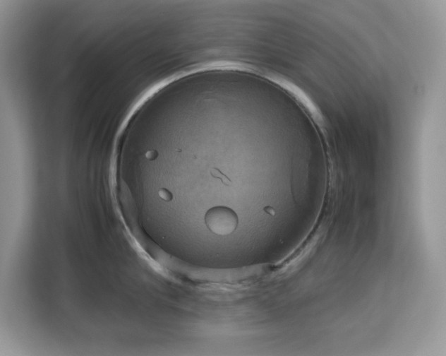 X0000113110910200908281406