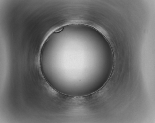 X0000113110912200908281406