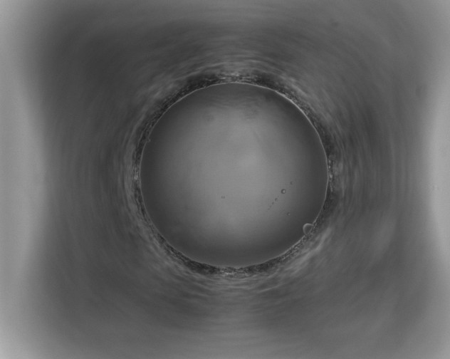 X0000113110913200908281405