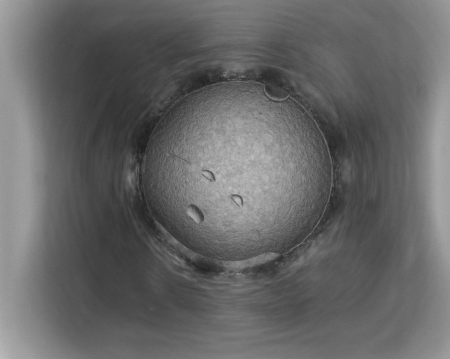 X0000113110914200908281405