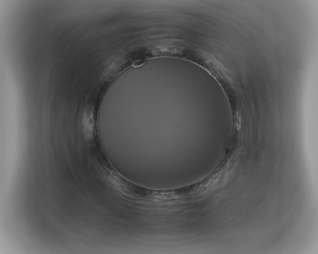 X0000113110915200908281405