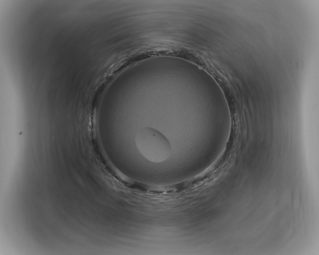 X0000113110916200908281405