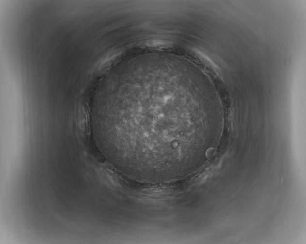 X0000113110917200908281405