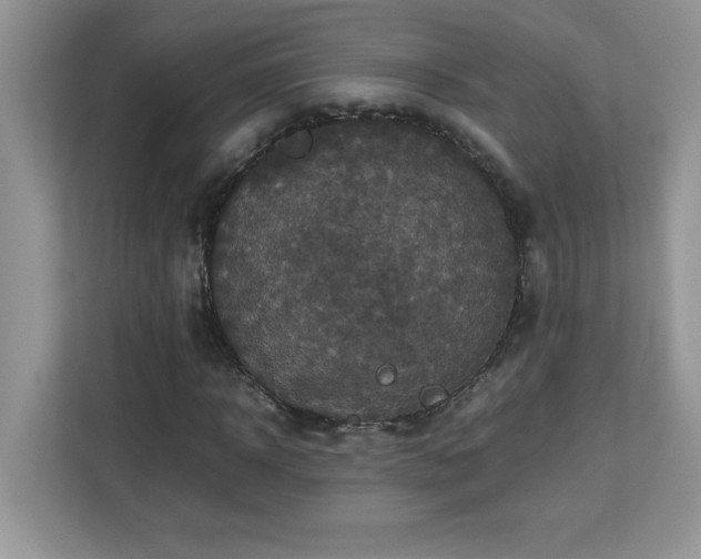 X0000113110918200908281405