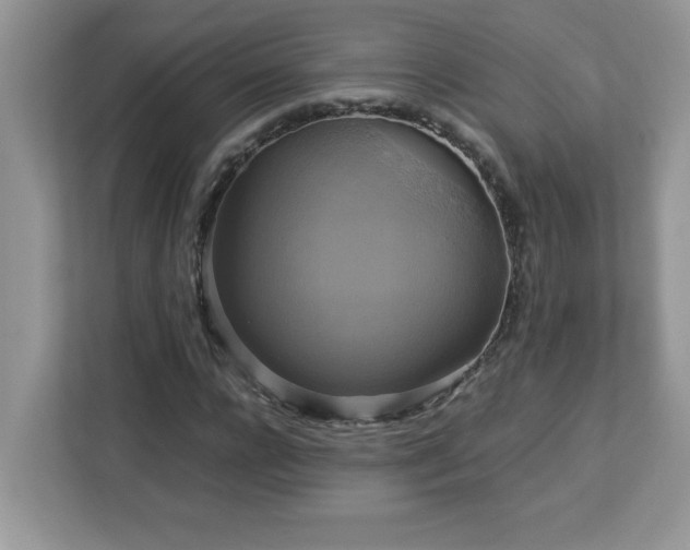X0000113110920200908281405