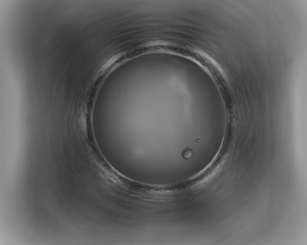 X0000113110921200908281405
