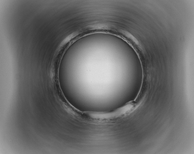 X0000113110922200908281405