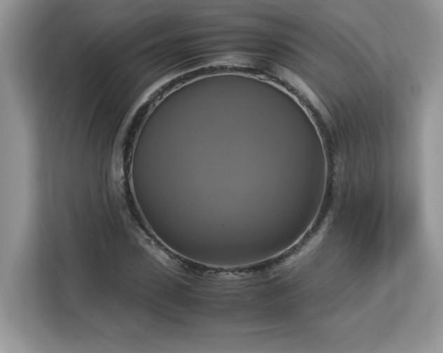 X0000113110923200908281405
