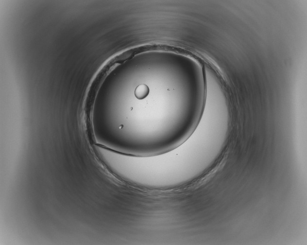 X0000113110924200908281405