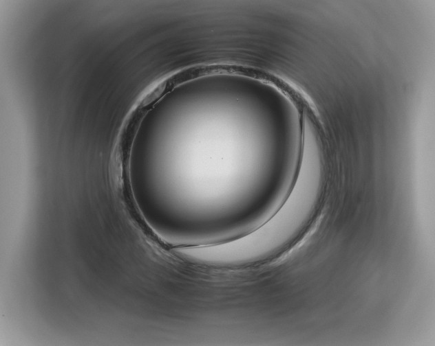 X0000113110925200908281405
