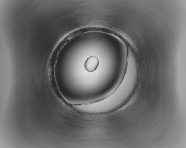 X0000113110926200908281405