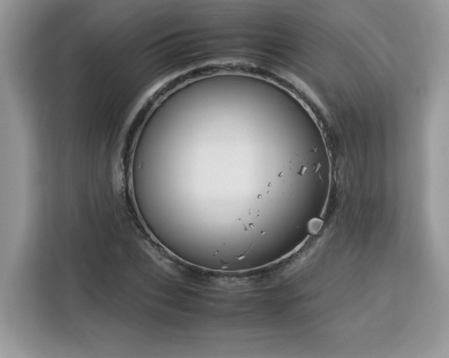 X0000113110927200908281405