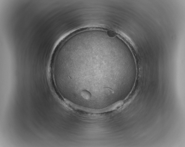 X0000113110928200908281405
