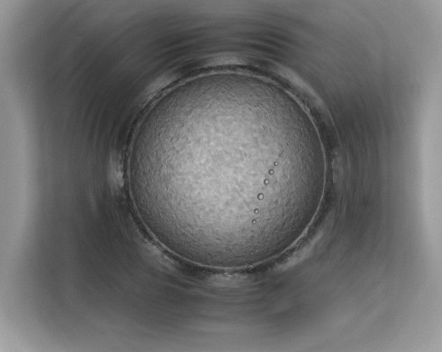 X0000113110929200908281405