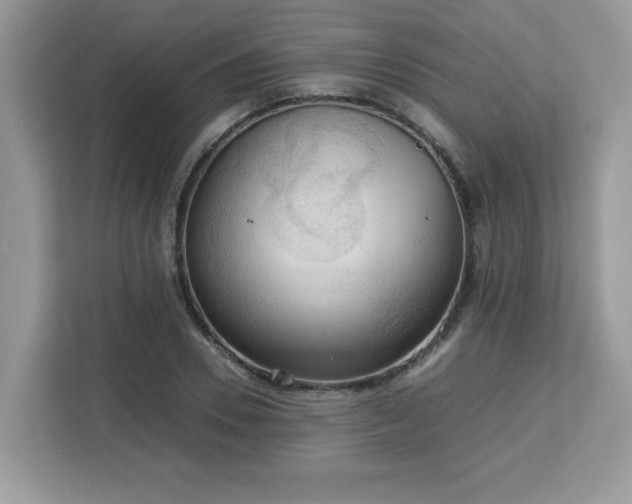 X0000113110930200908281405