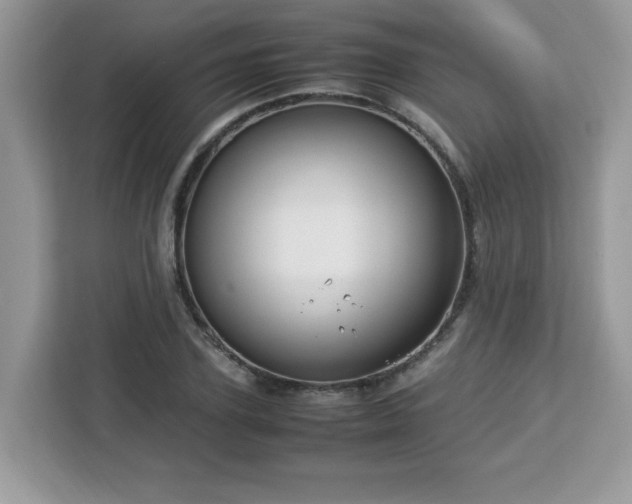 X0000113110931200908281405
